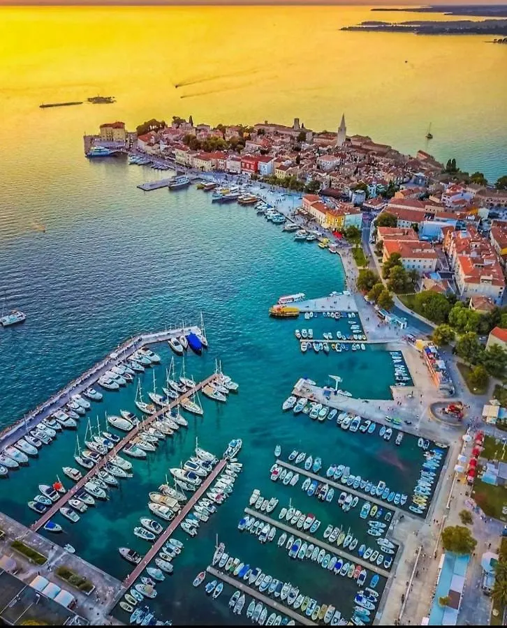 Luxury New !!! Apartment One And Only With Terrace Poreč