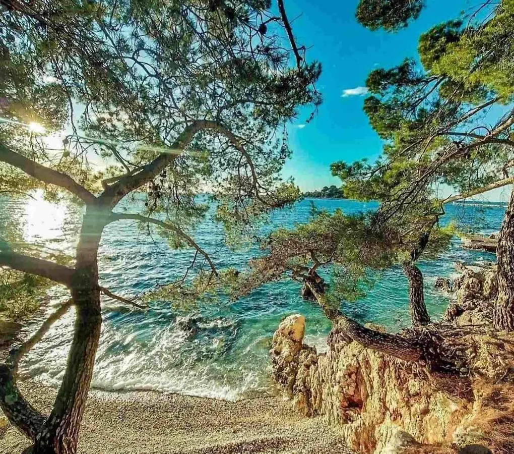 Luxury New !!! Apartment One And Only With Terrace & Free Bikes Porec
